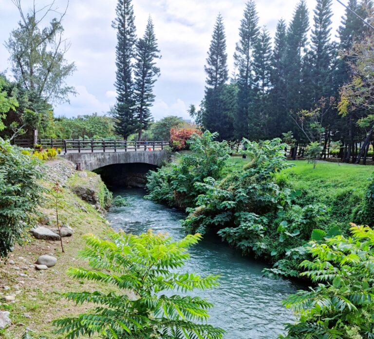 Entrance of the park