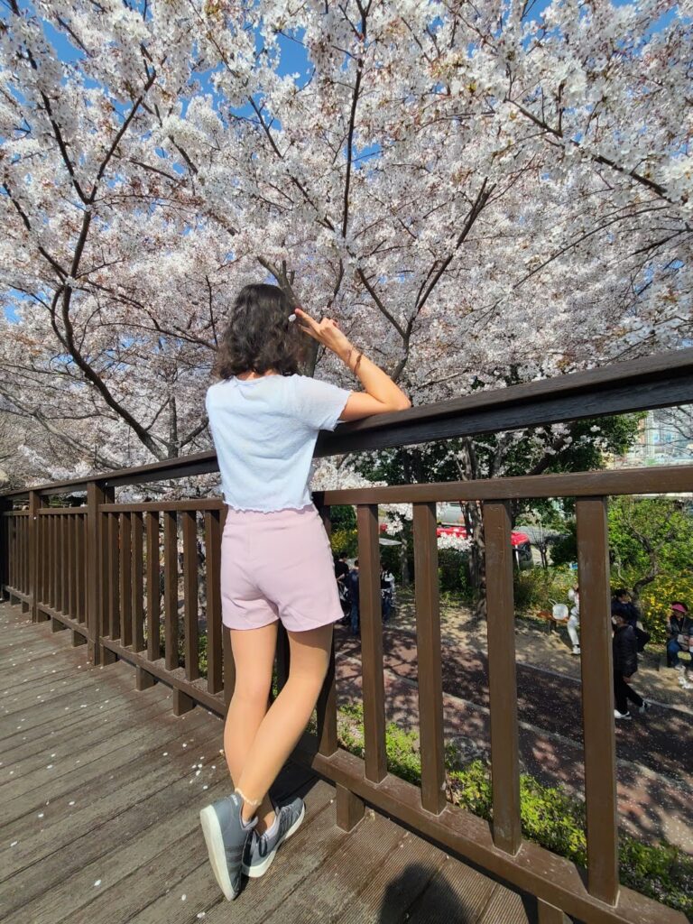 8 Places To See The Beautiful Cherry Blossoms In Busan - A Free Soul Abroad