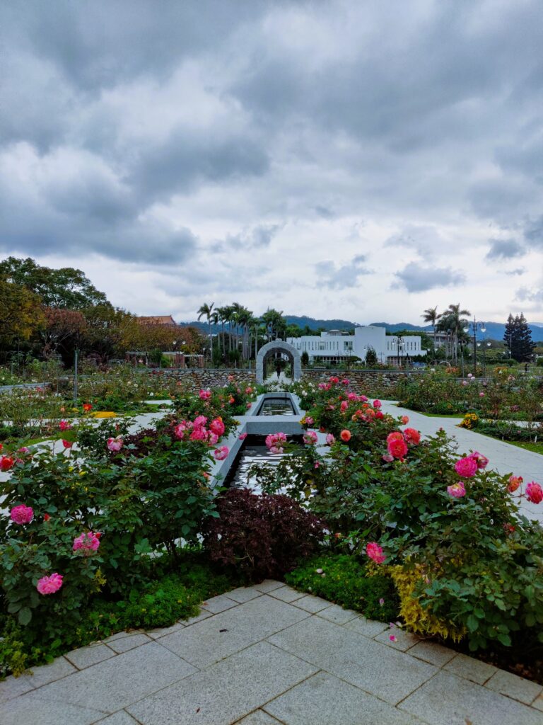 Rose garden in Xinsheng park in Taipei