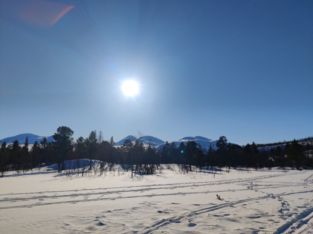 Snowy landscape in Abisko national park