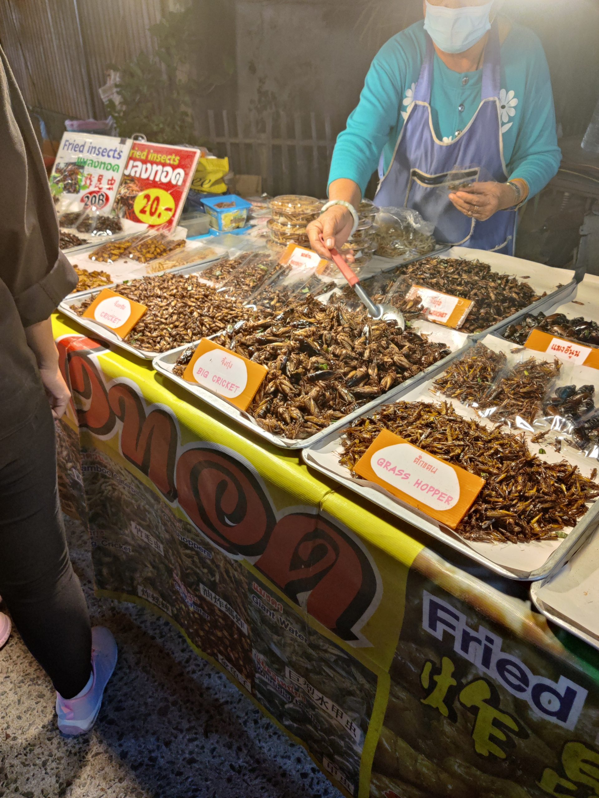 Street food insects in Thailand