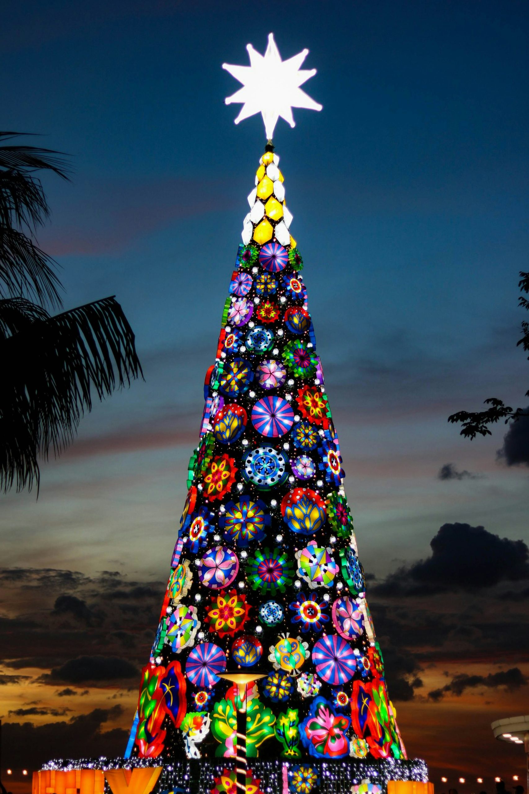 Christmas tree in the Philippines