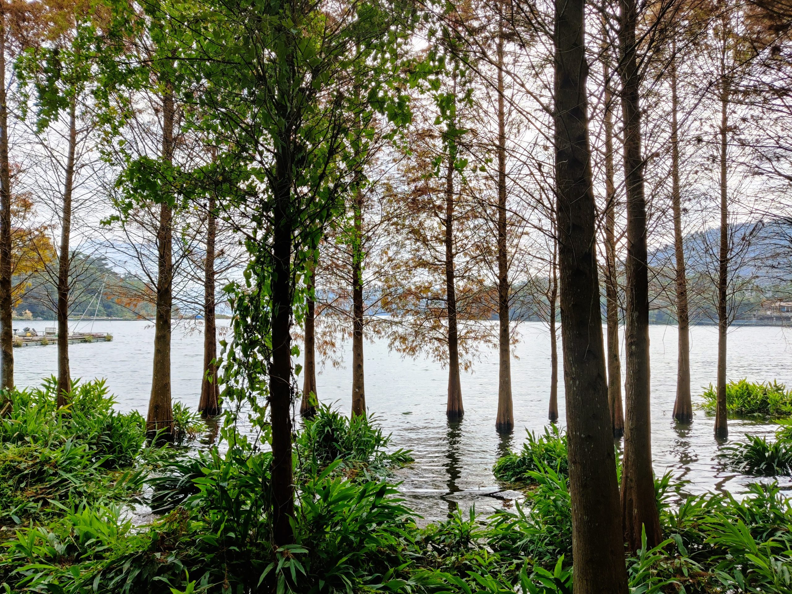 Around Sun Moon Lake near Taichung