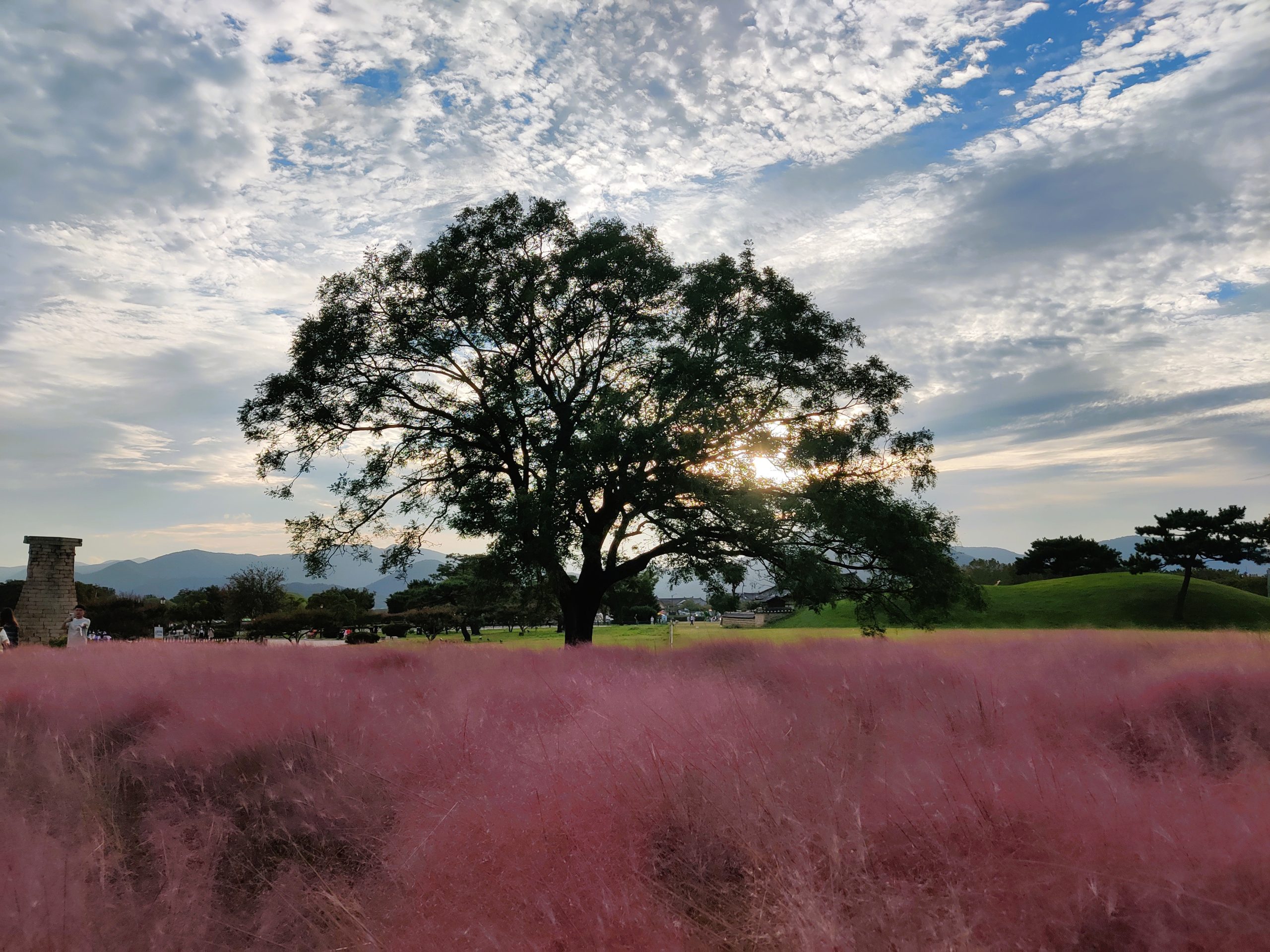Gyeongju - day trip from Busan