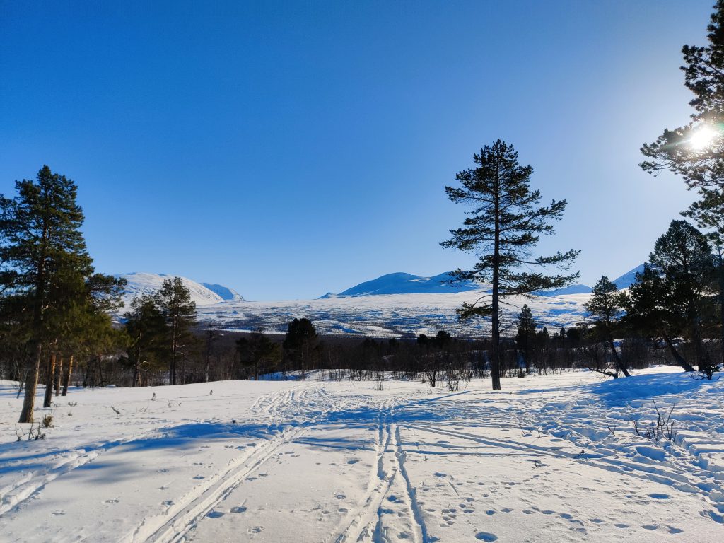 Snowy landscape in Abisko