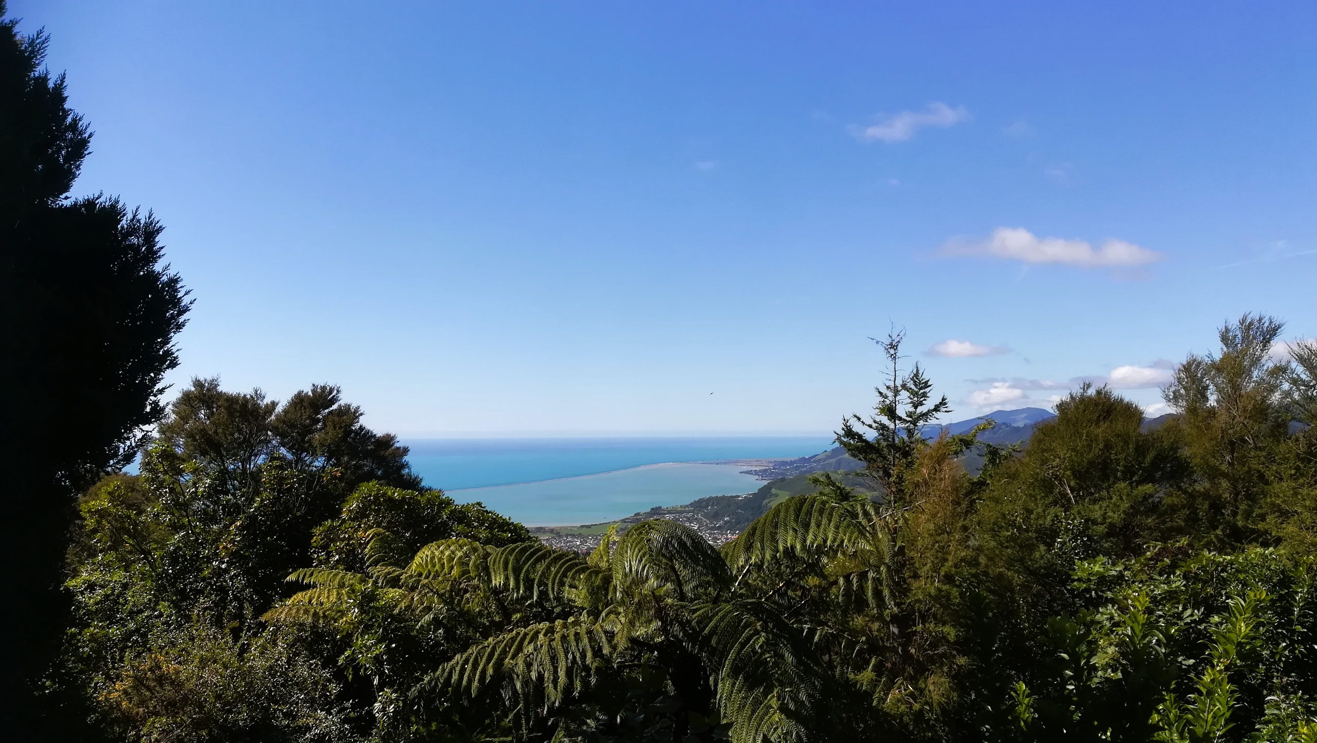 NZ as a safe country for a solo female traveler