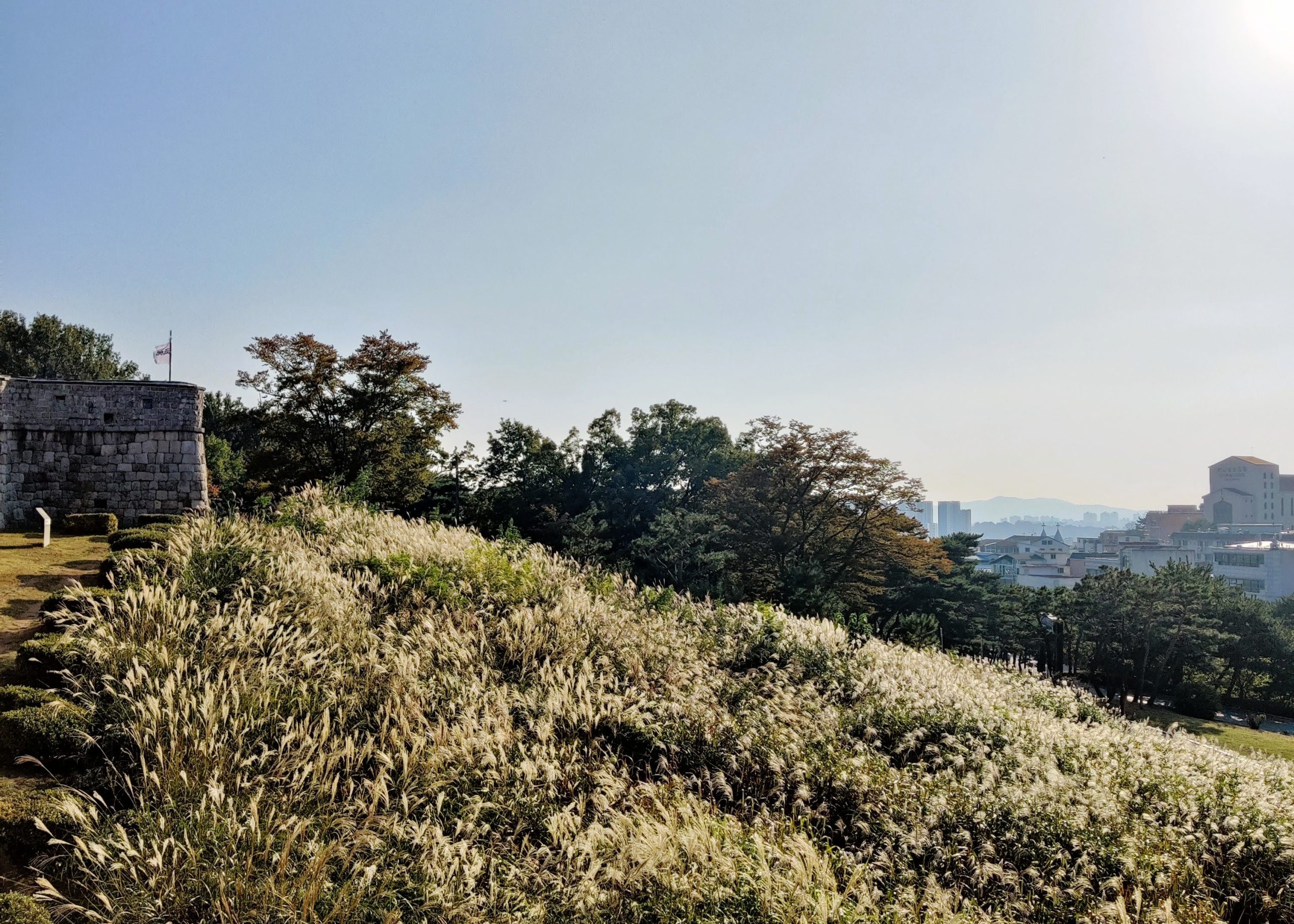 Day trip from Seoul - Suwon