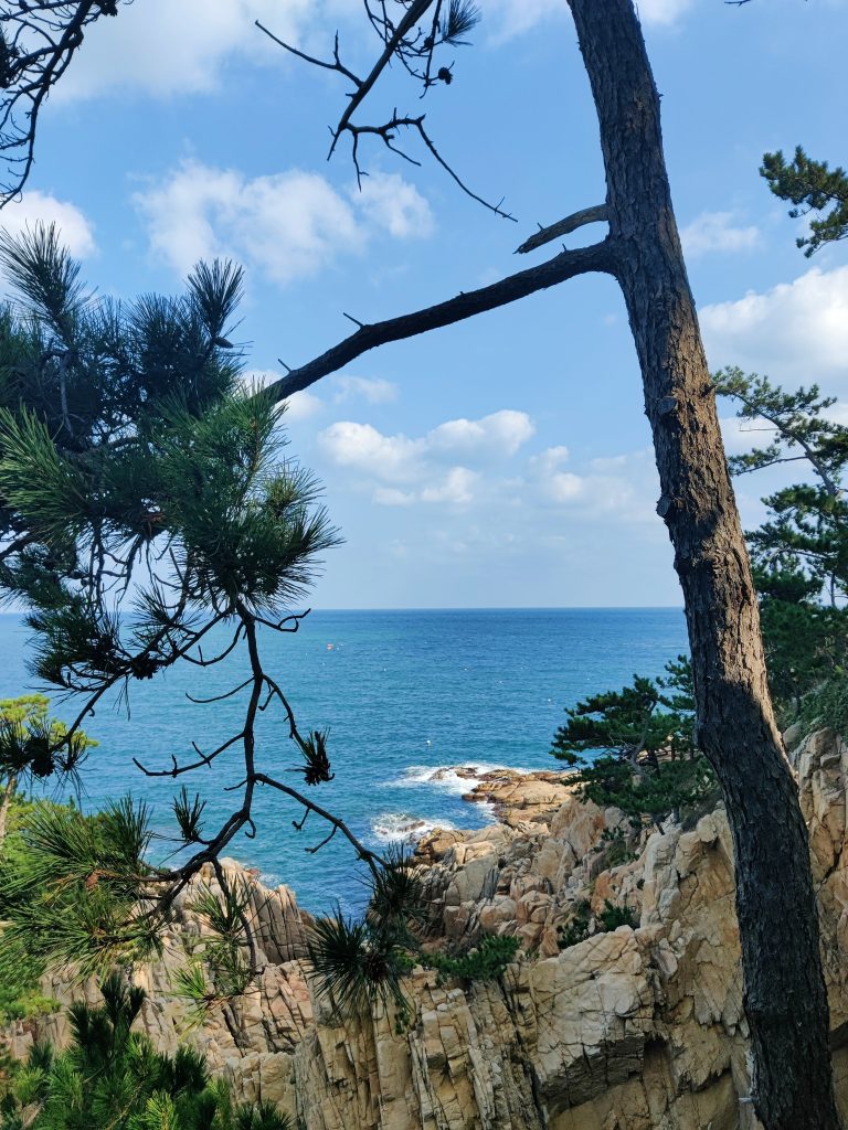 Blue sea and nature in Ulsan