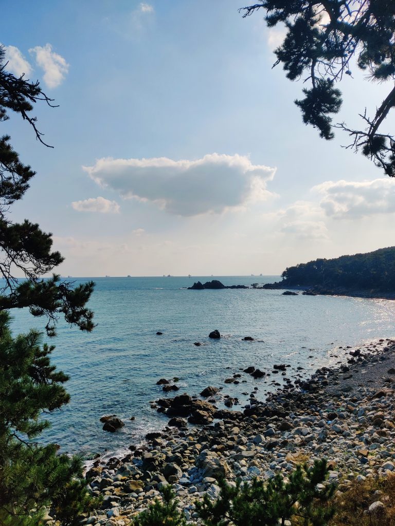 Coastal trail in Daewangam