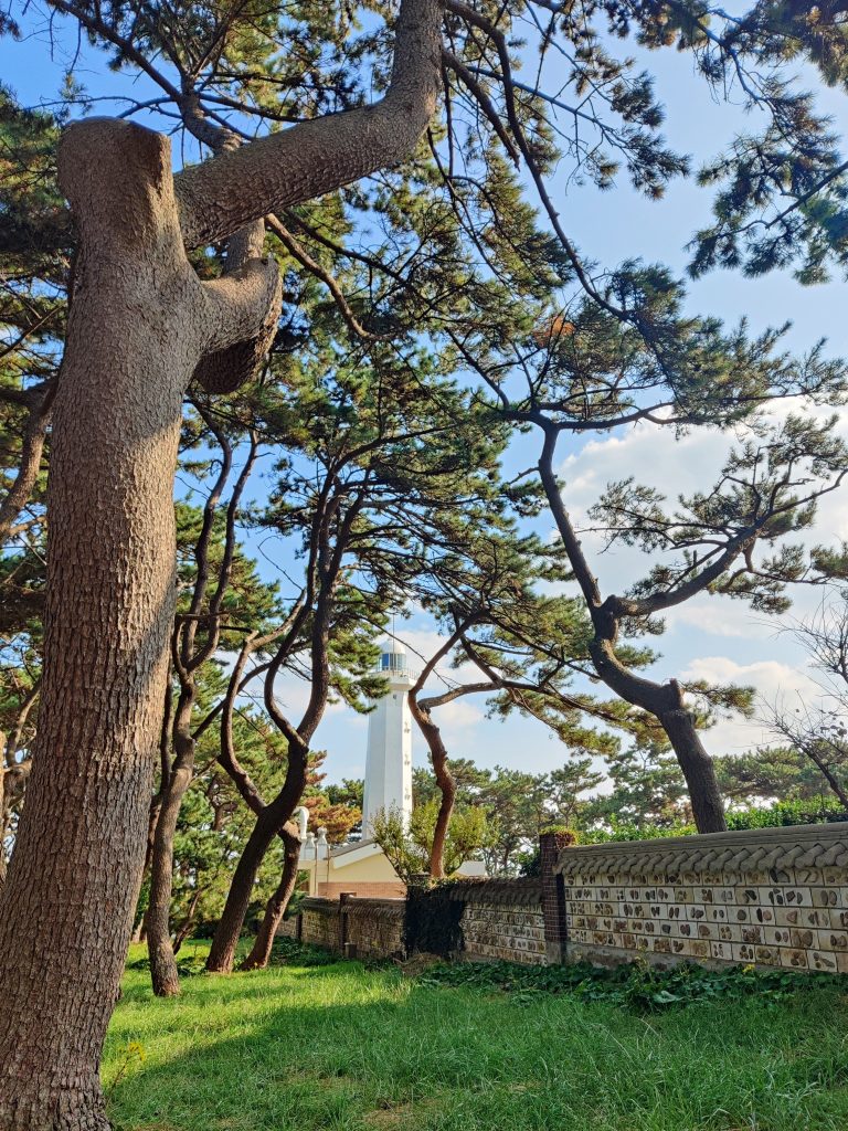 Lighthouse in Daewangam