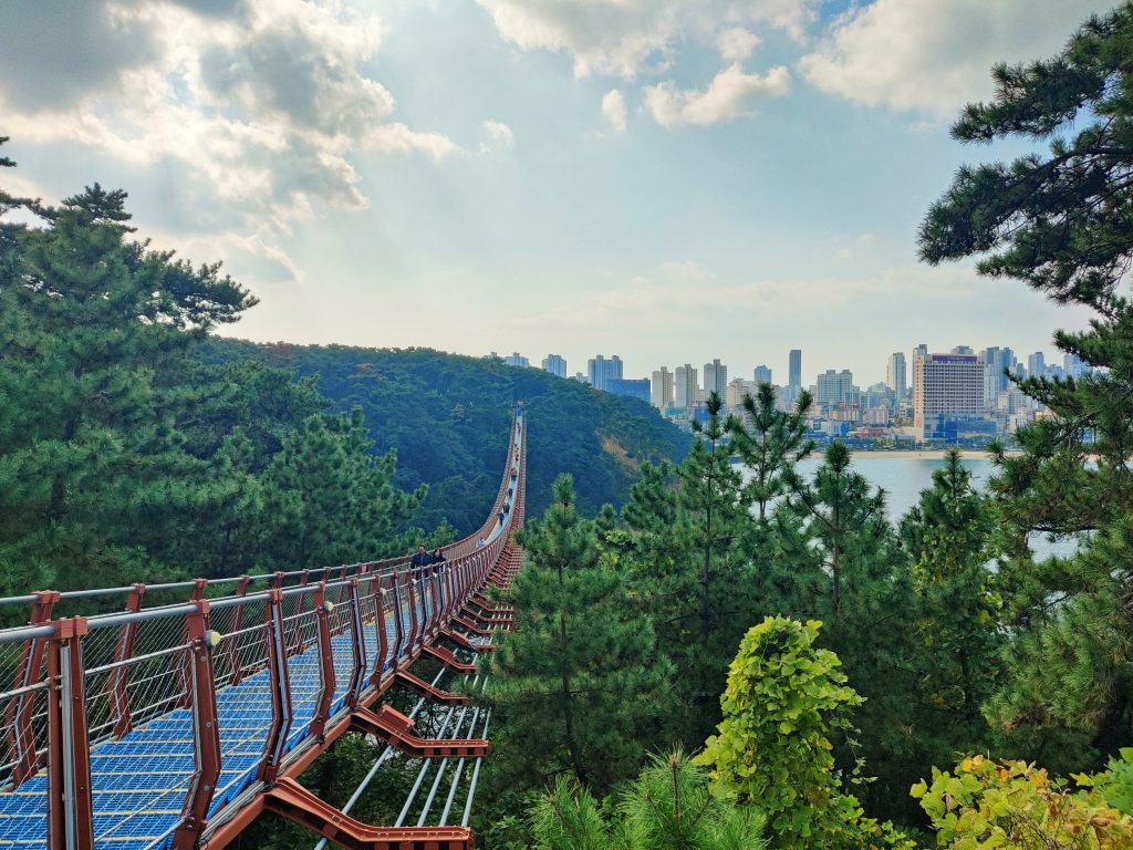 Suspension bridge in Daewangam Park