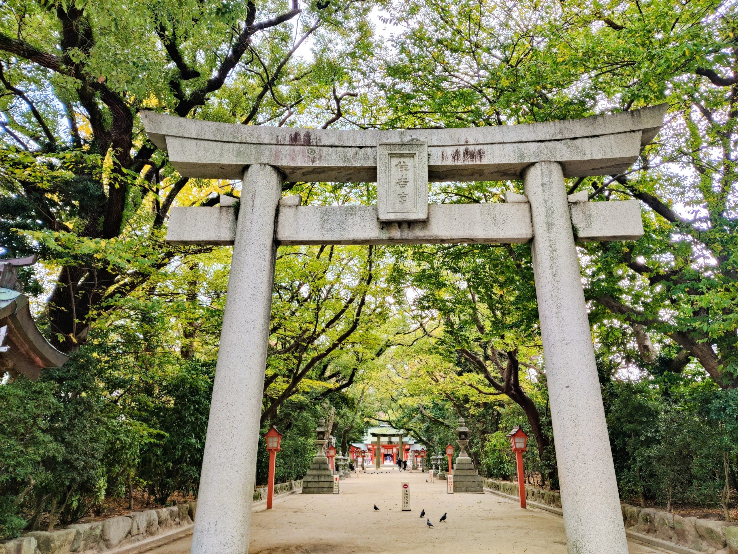 Fukuoka shrine
