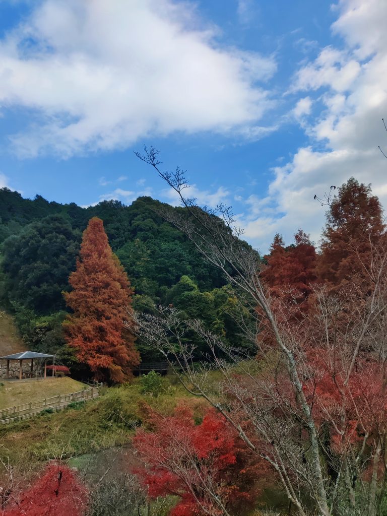 Garden near Kyushu museum