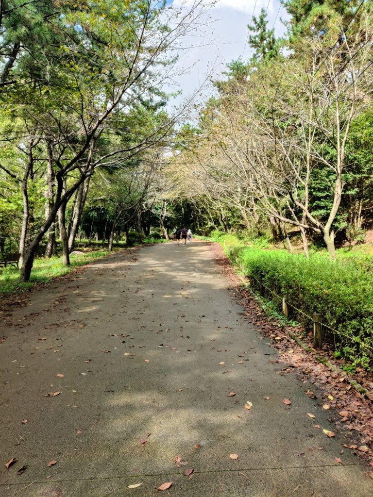 Inside the park leading to Jangsan trails