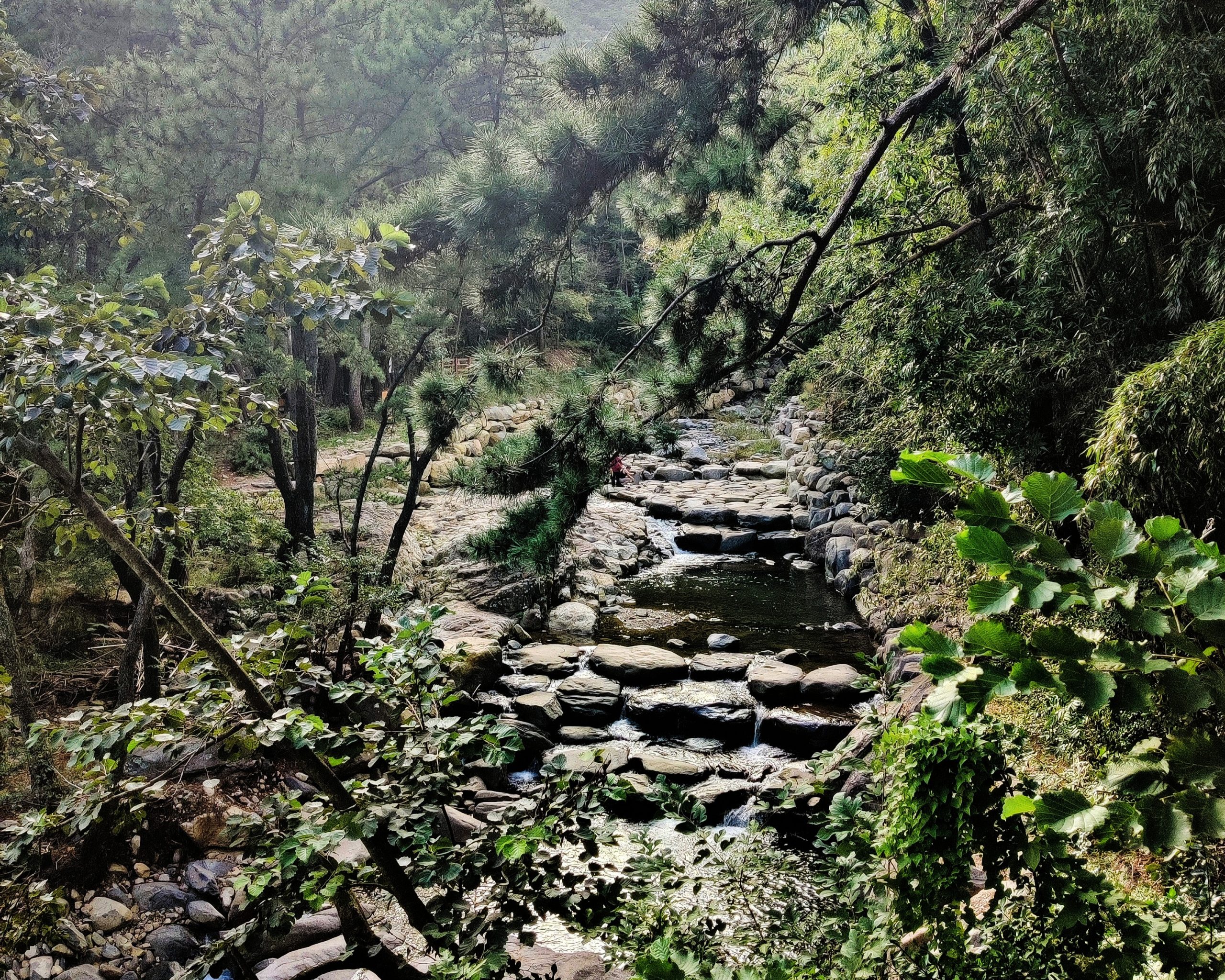 Lovely natural spot in Jangsan