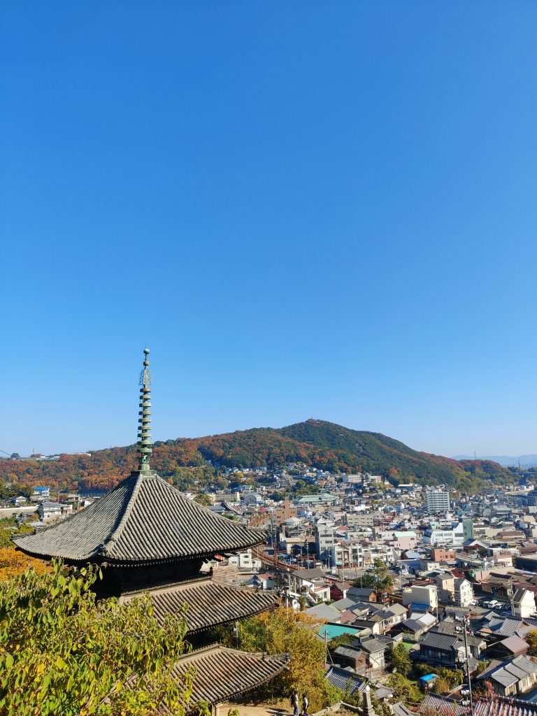 Panorama and temple