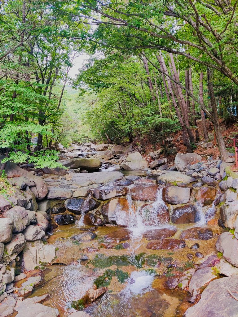 Stream in Jangsan