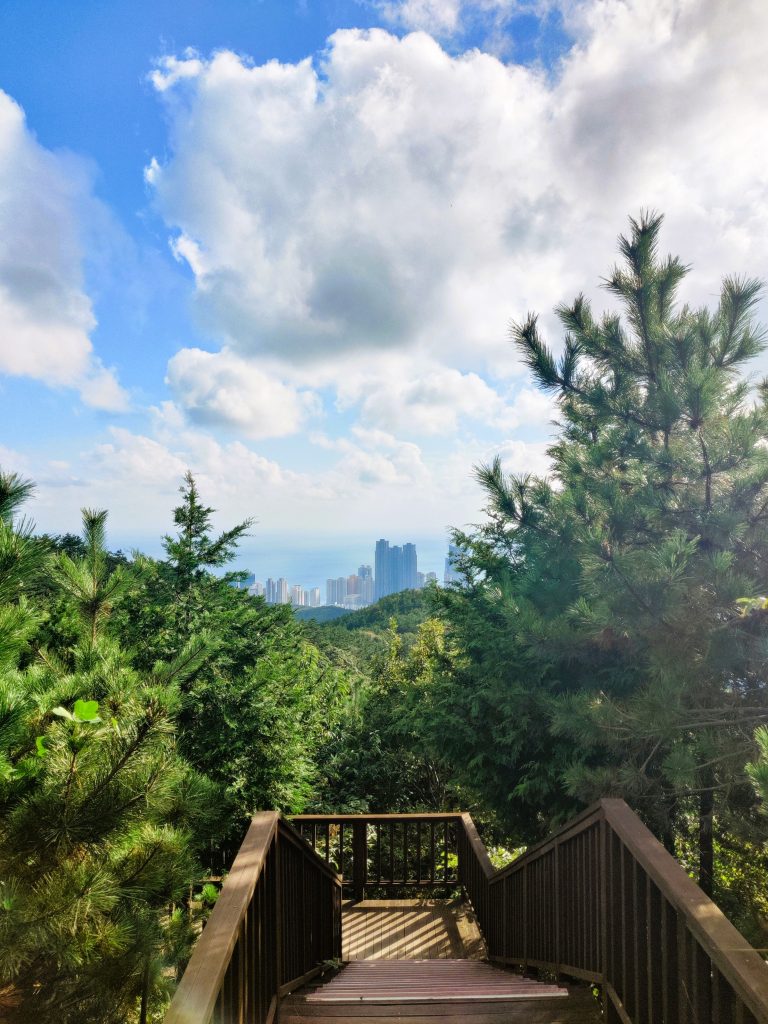 View of the Marine City from the stairs