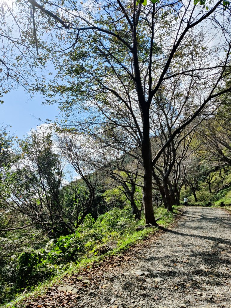 Beginning of the Seunghaksan hike