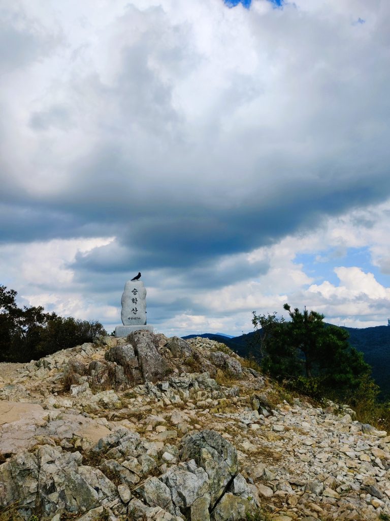 Crow perched on the stele of Seunghaksan