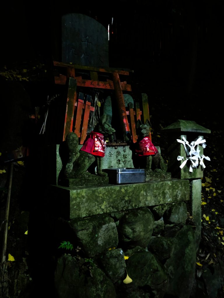 Foxes and small shrine