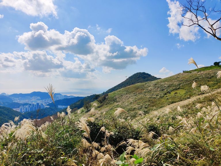 Hiking guide to Seunghaksan in Busan