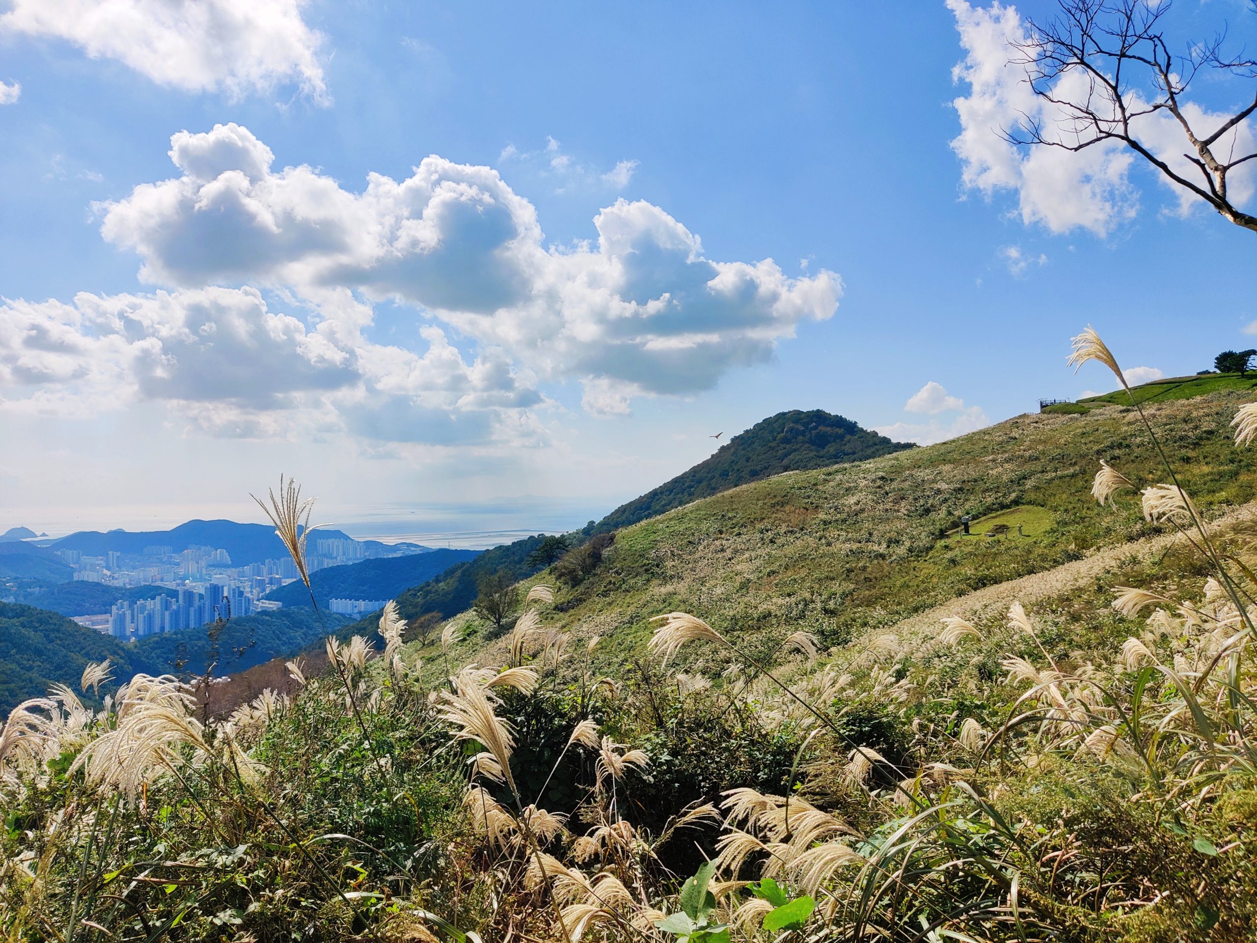 Hiking guide to Seunghaksan in Busan