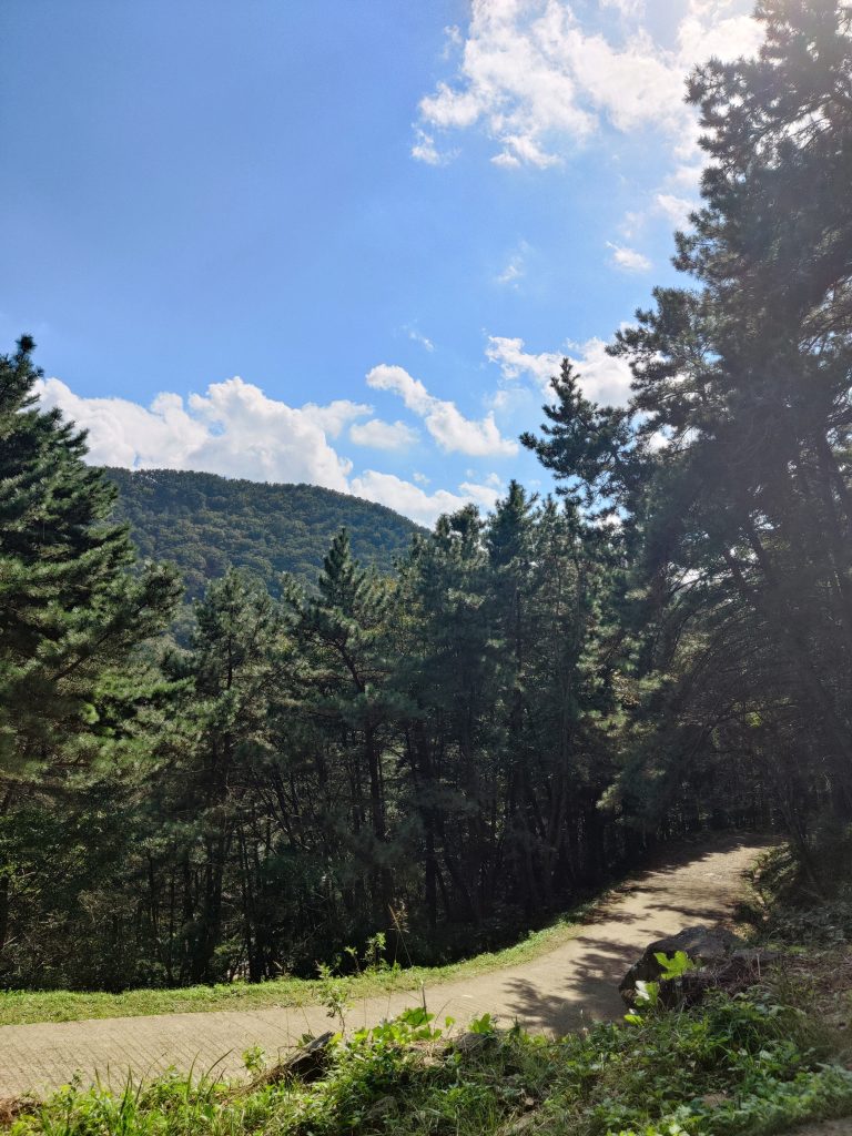 Mountain path in Seunghaksan