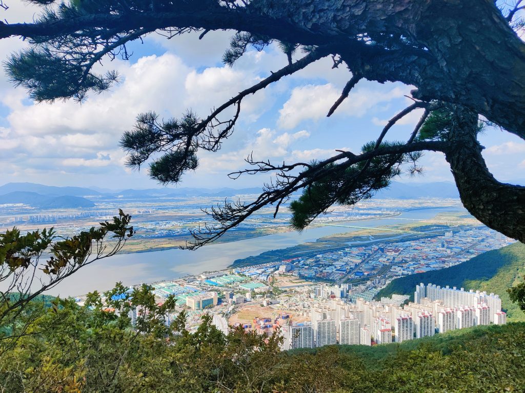 Nakdong river views