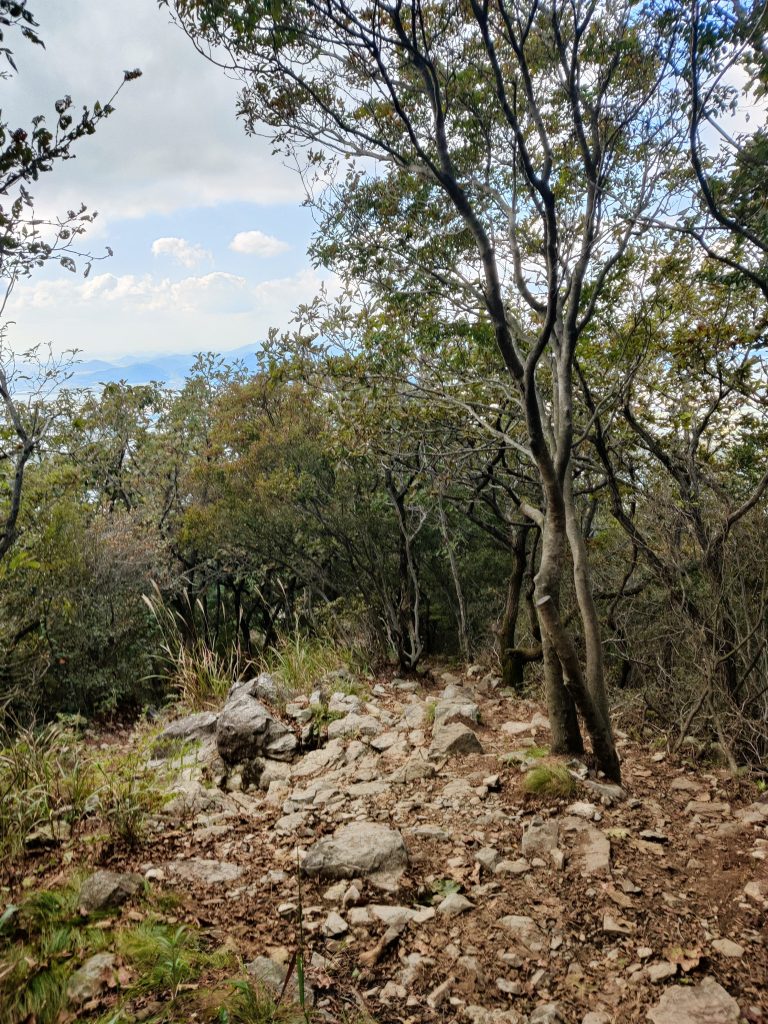 Path down the mountain - Seunghaksan hike