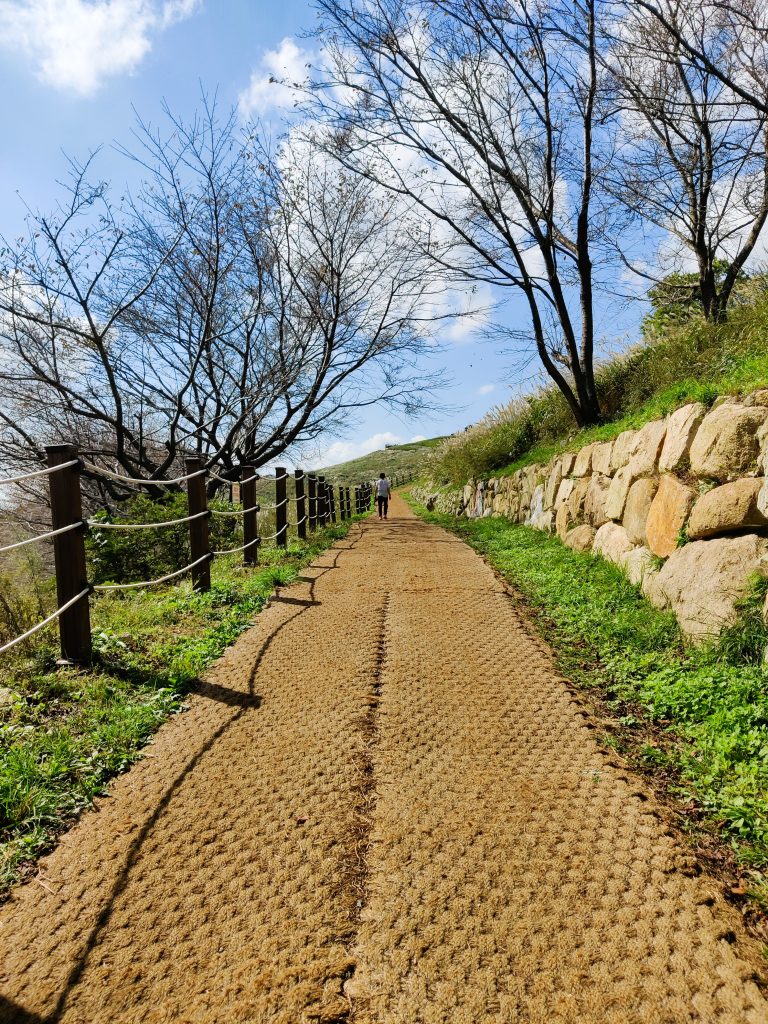 Seunghaksan - trail to the silver grass