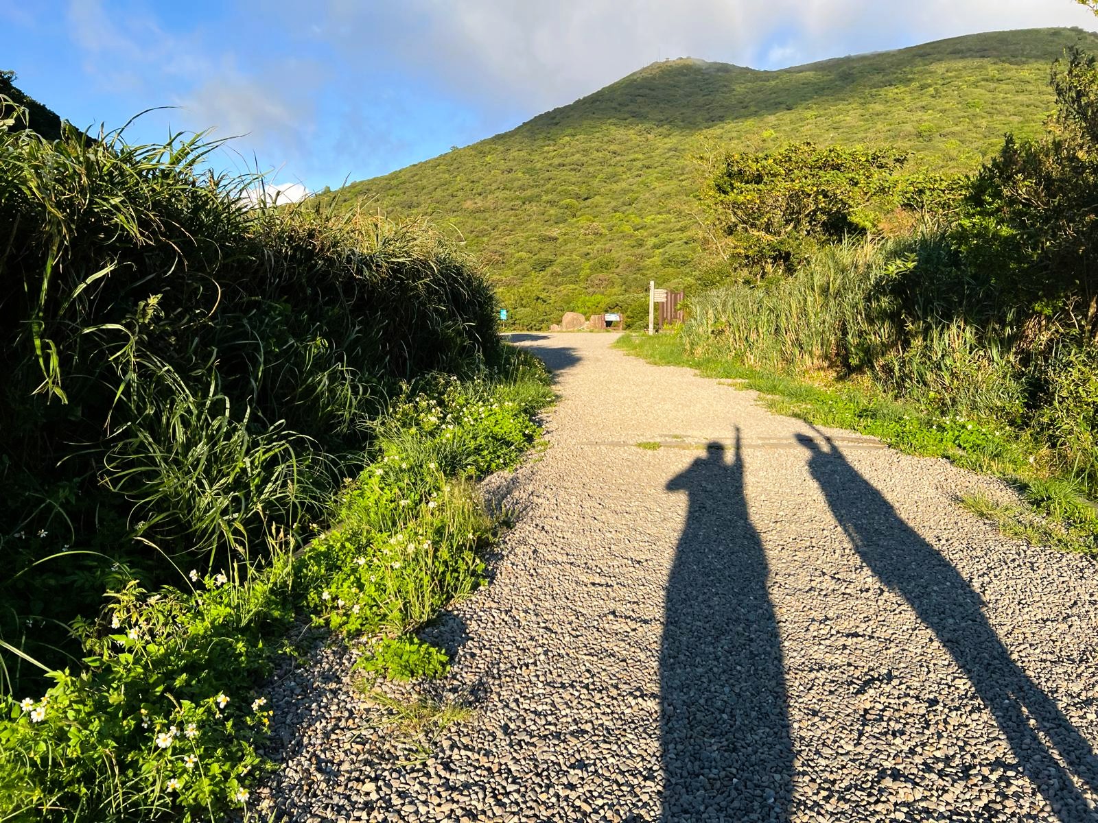 Solo travel and home