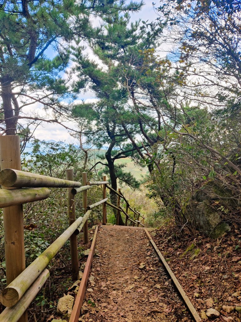 Staircase in the forest - Seunghaksan