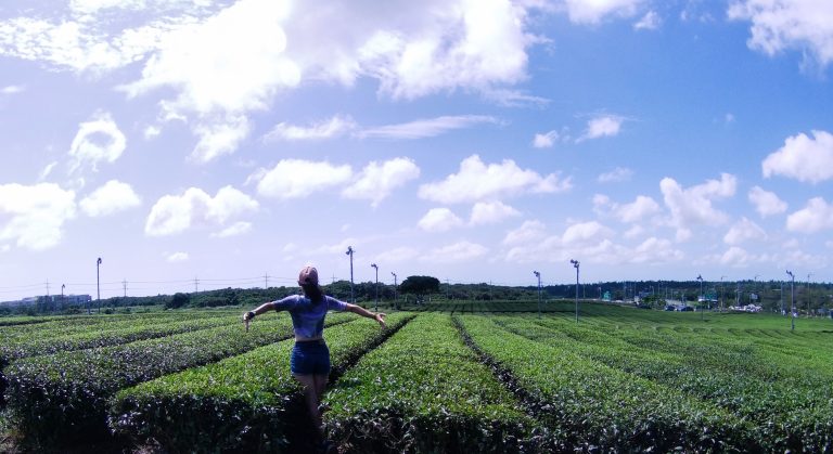 Traveling solo in Jeju