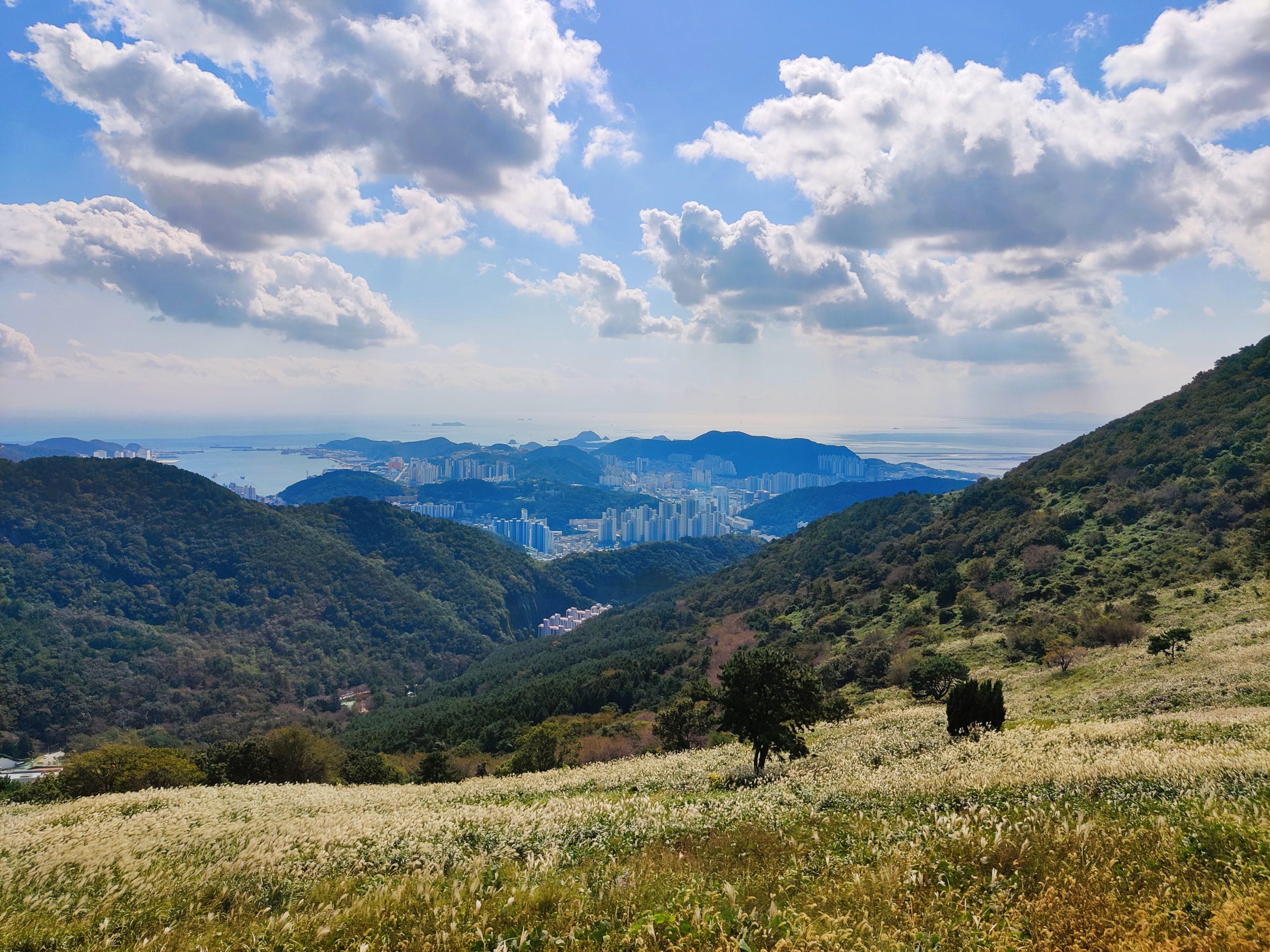 Viewpoint surrounded by silver grass - Seunghaksan