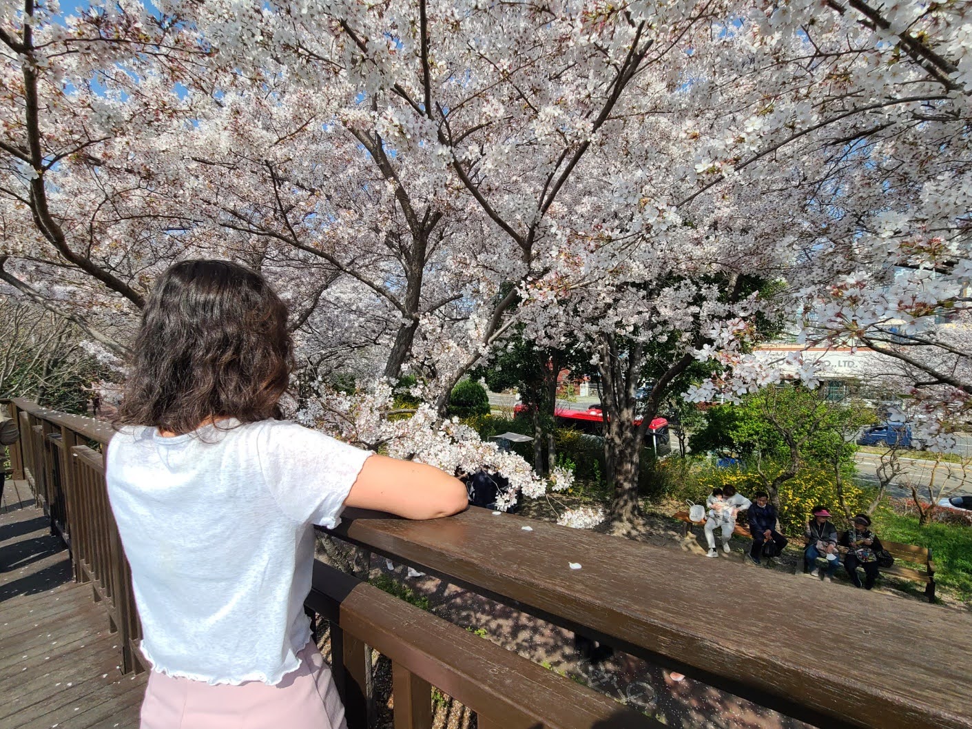 What solo travel has taught me