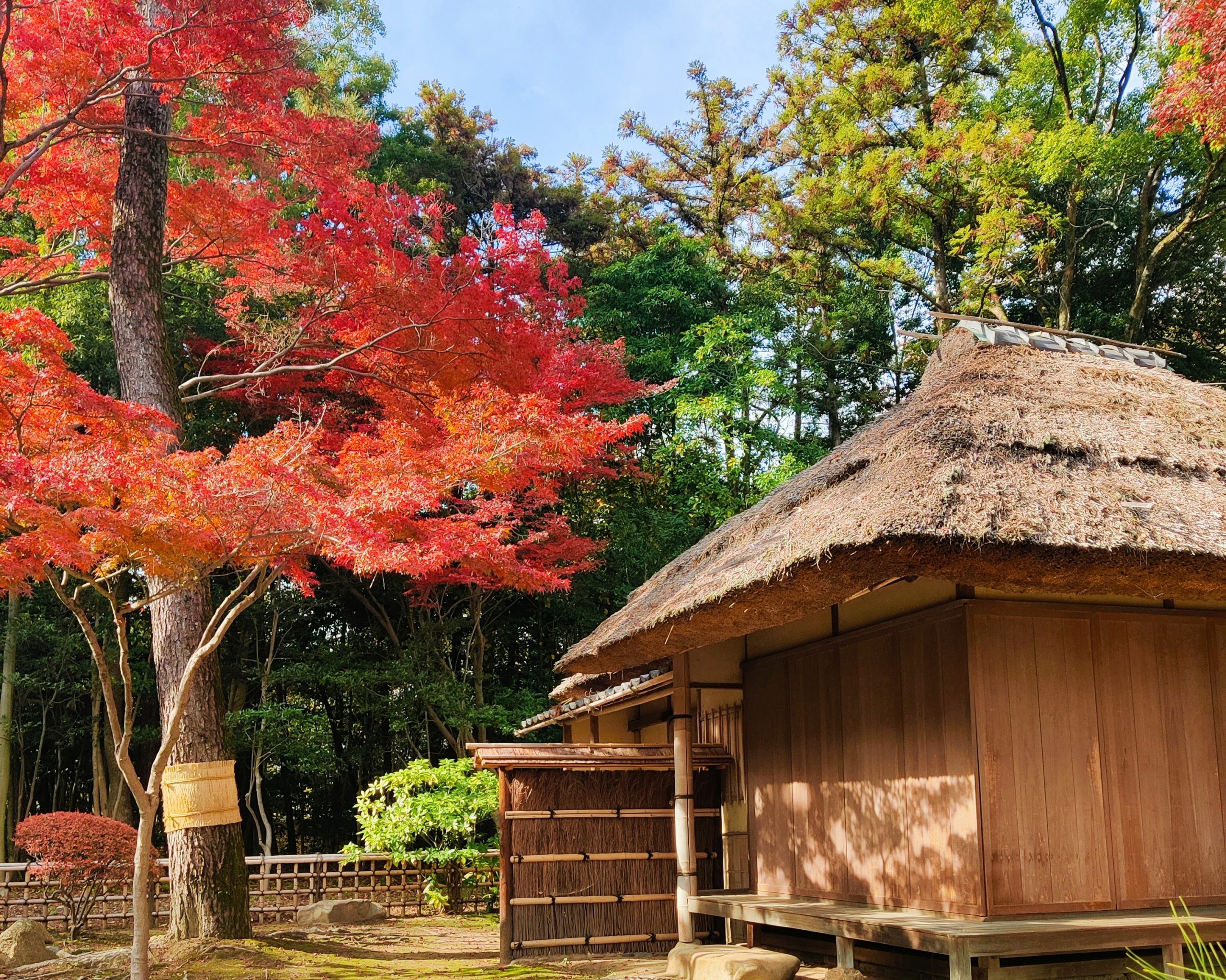 Inside Koraku-en in Okayama