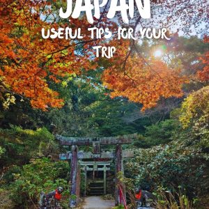 Japan tips