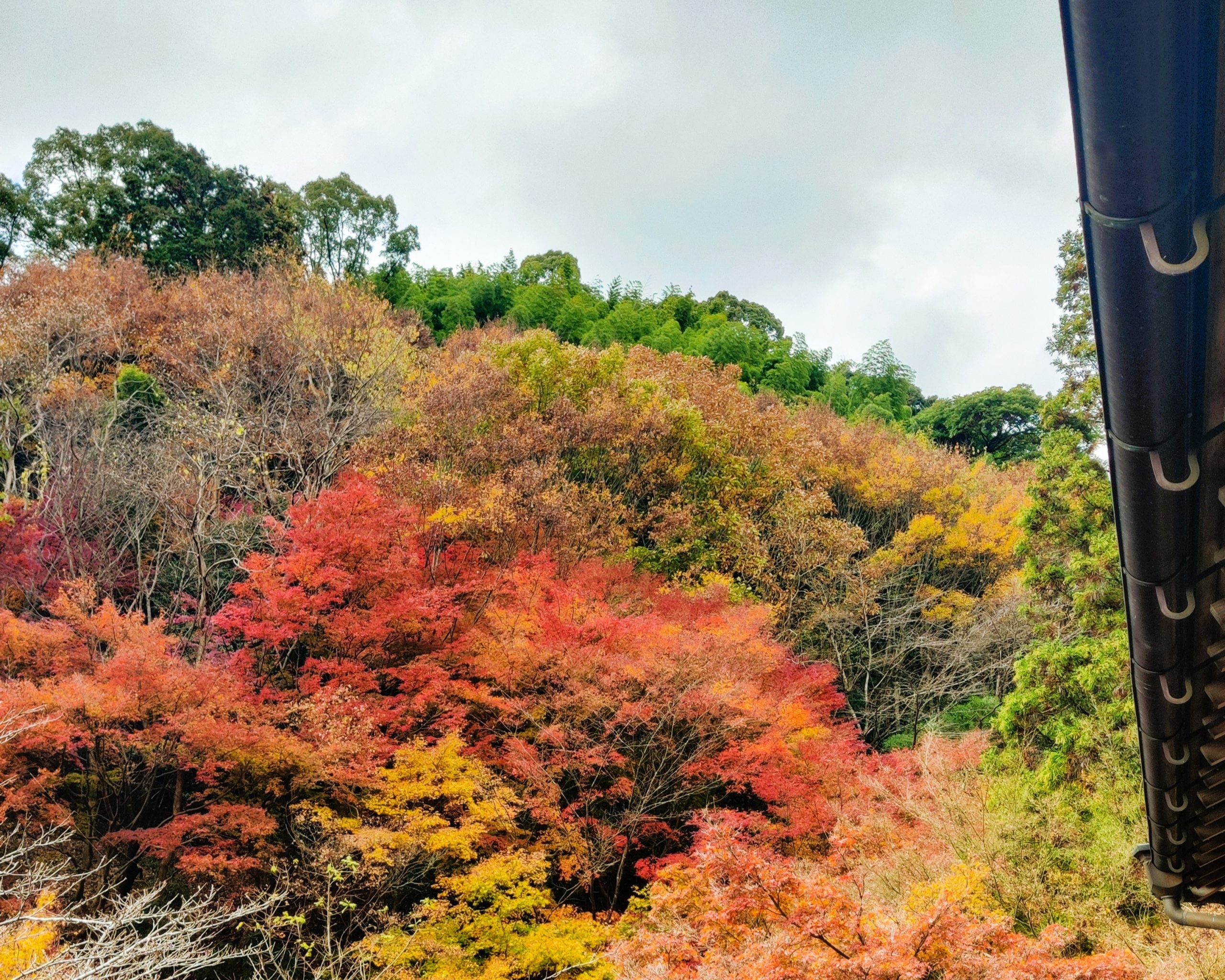 Around Nanzoin and fall foliage