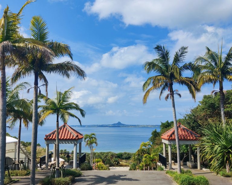 Japan tips and tricks