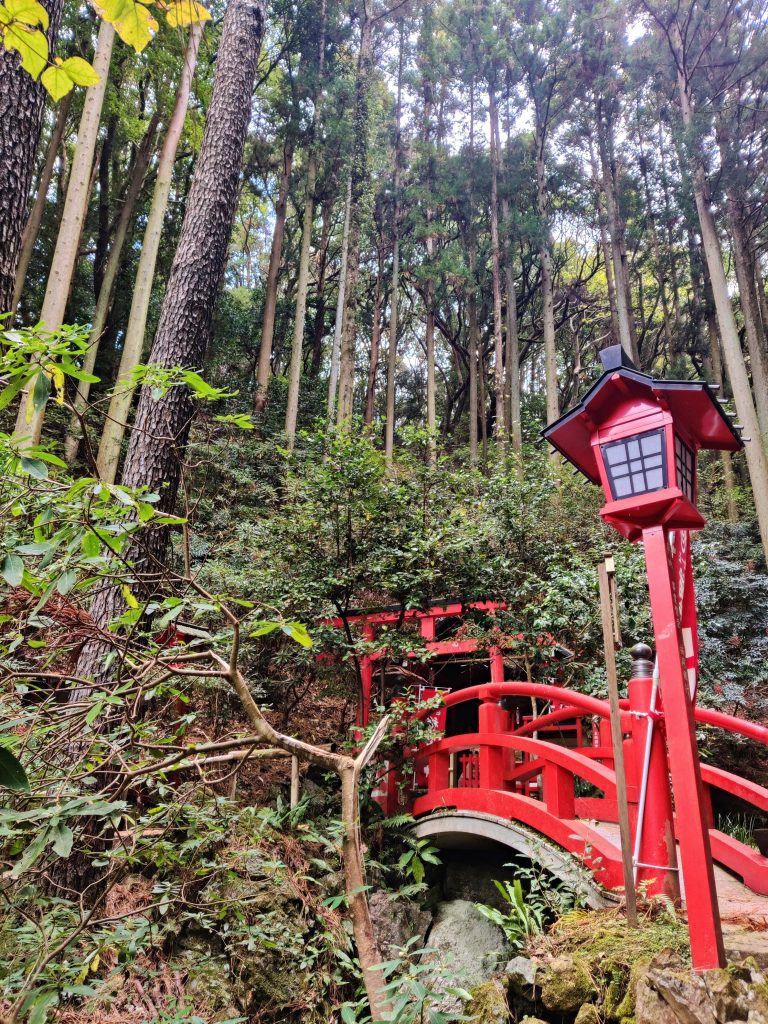Red bridge in the forest