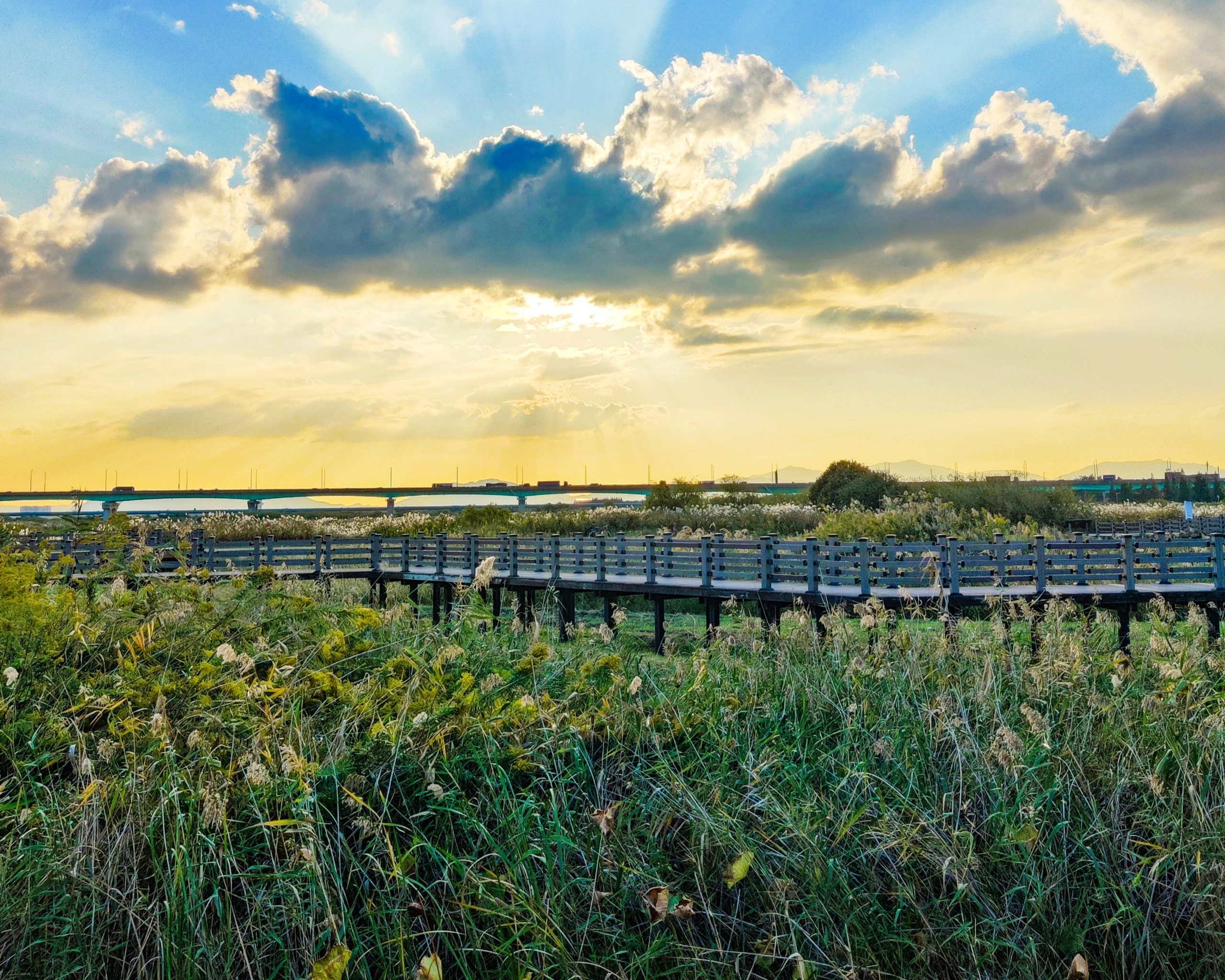 Summer - wellness retreat