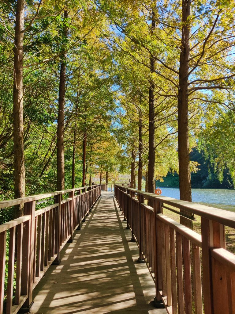 Beautiful waterfront deck - Yongso Well-Being Park