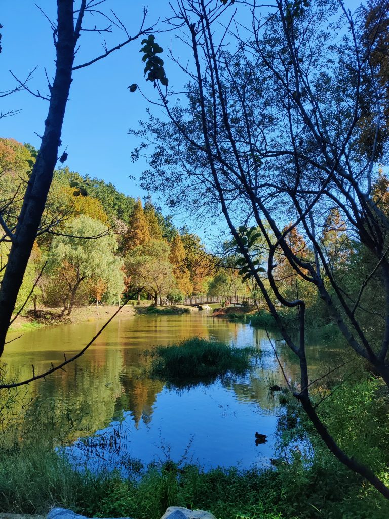 Reservoir - Yongso Well-Being Park