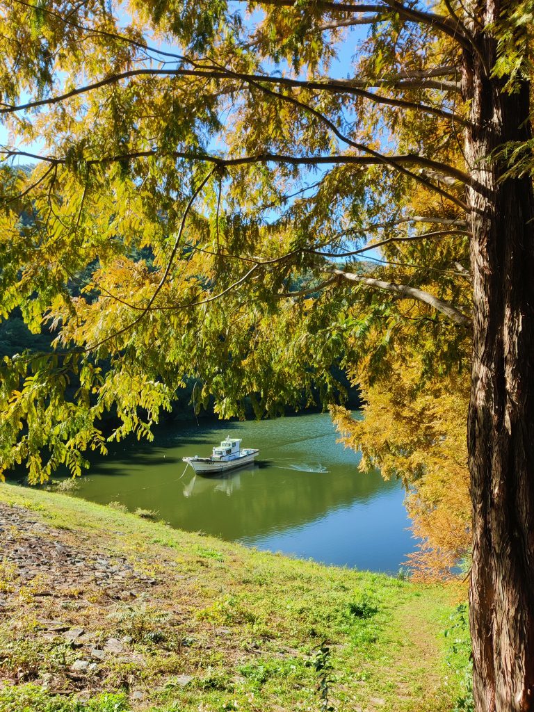 Boat in Yongso Well-Being Park