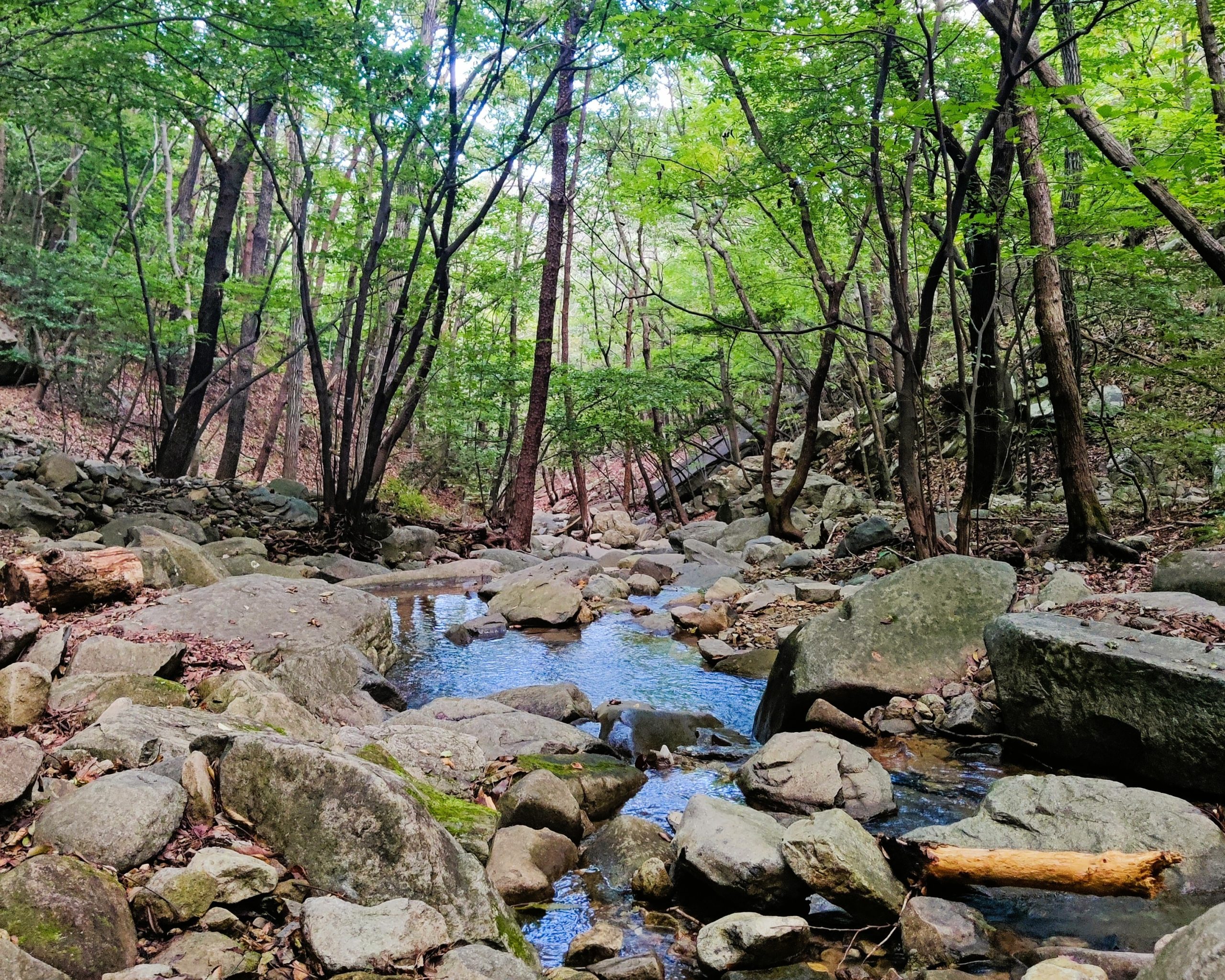 Hiking trail and mistakes