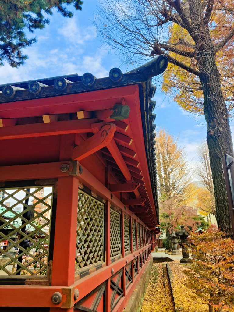 Nezu Shrine during fall