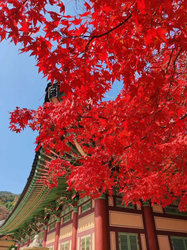 Beomeosa in autumn