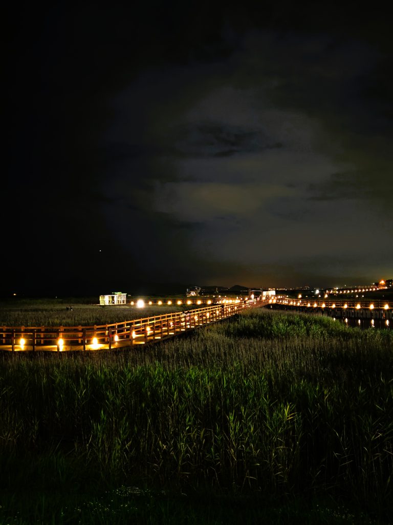 Dadaepo Beach by night