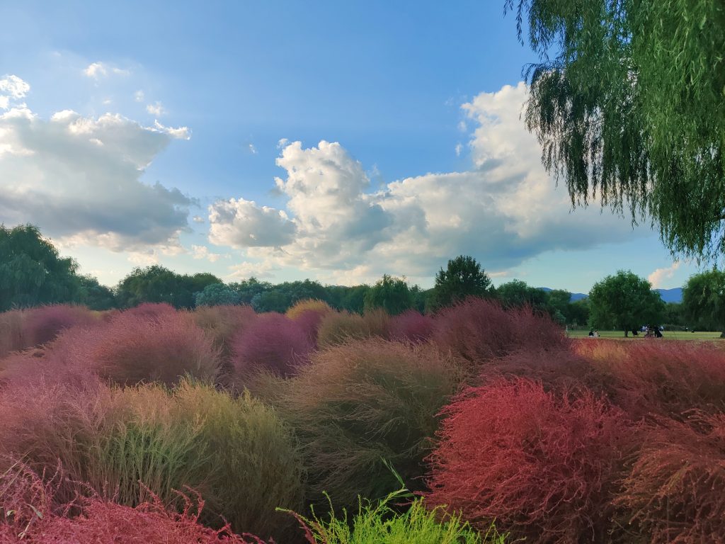 Hwamyeong Eco Park - 3 days in Busan